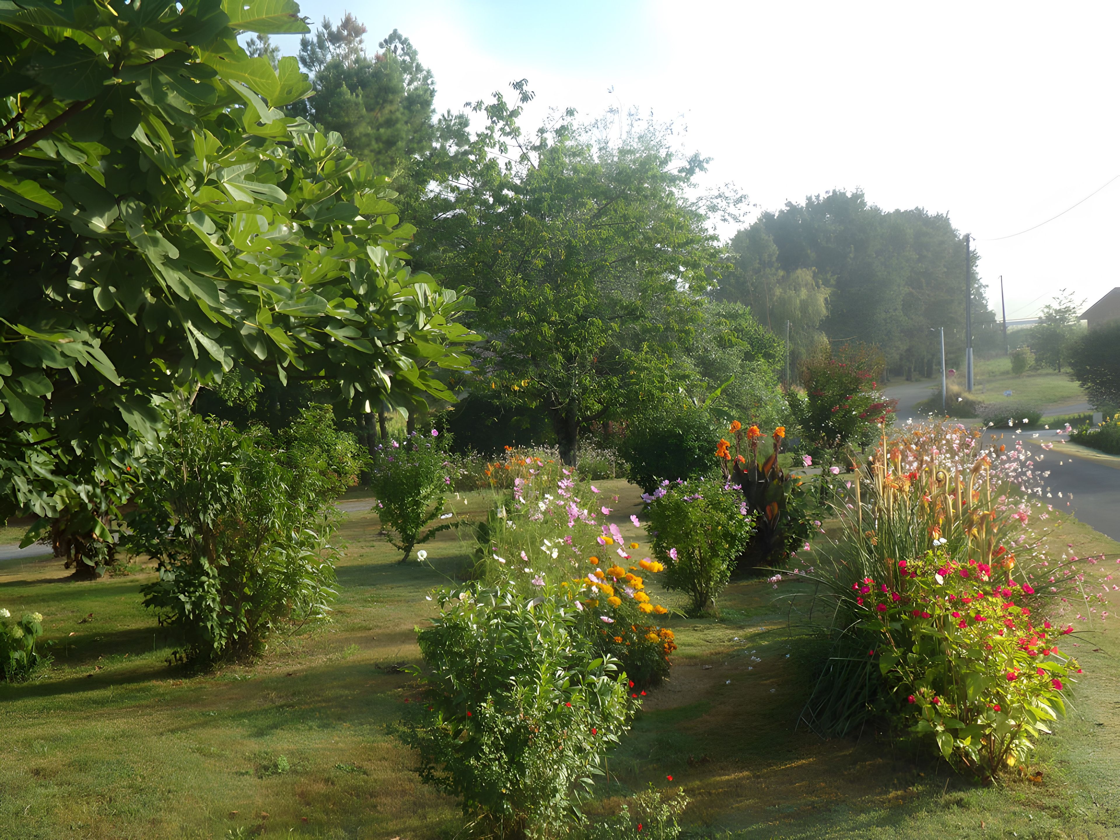 Un jardin avec différentes plantes et fleurs, un sentier et une route en arrière-plan.