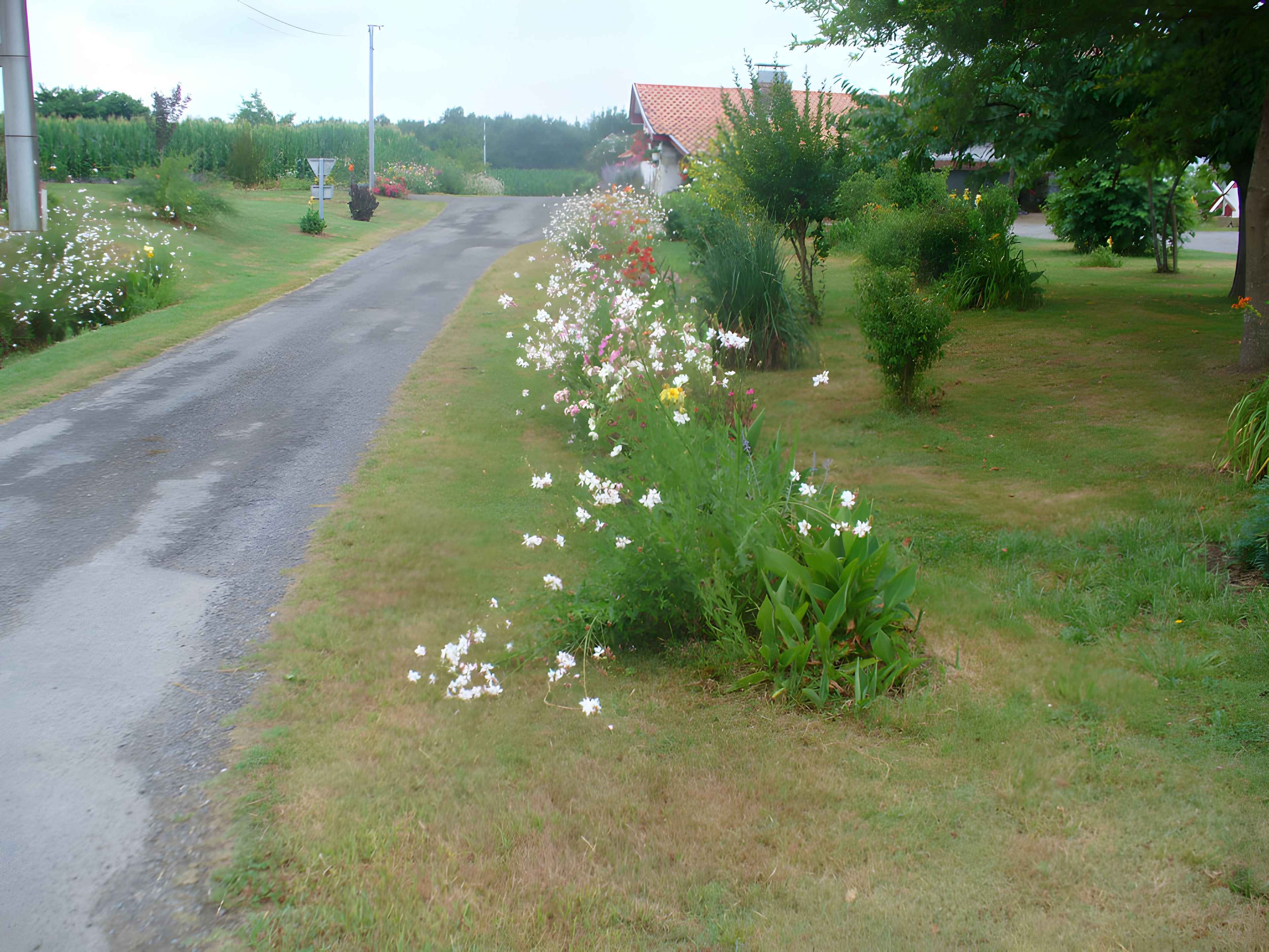 Overnatningsstedets område