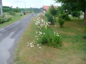 Eine ländliche Straße mit einer grünen Böschung und blühenden Pflanzen.