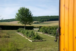 Vista de dentro de um quarto amarelo para um jardim com uma árvore e um campo.