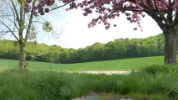 Un paysage naturel avec un arbre aux fleurs roses, un champ d’herbe et un petit ruisseau.
