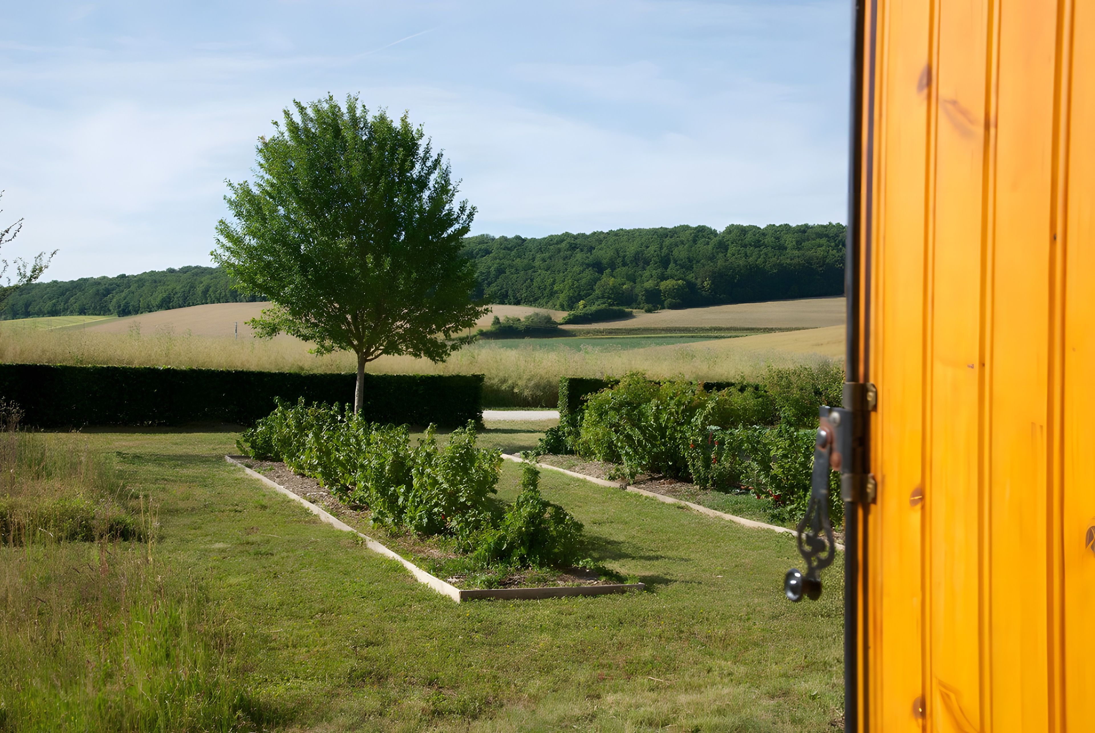 Une vue prise de l’intérieur d’une pièce jaune, donnant sur un jardin avec un arbre et un champ.
