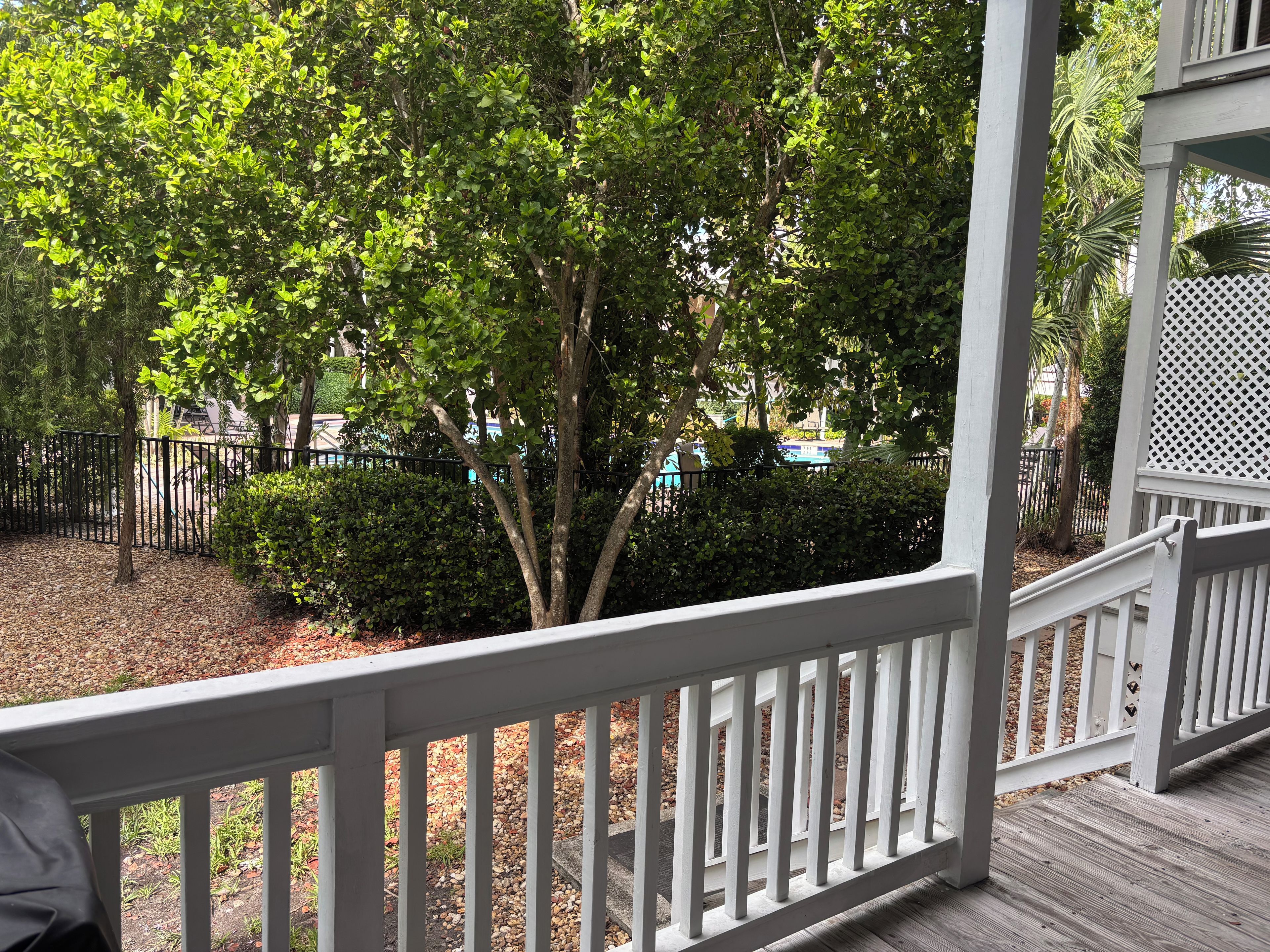 A wooden deck with a white railing, surrounded by trees and a hedge.