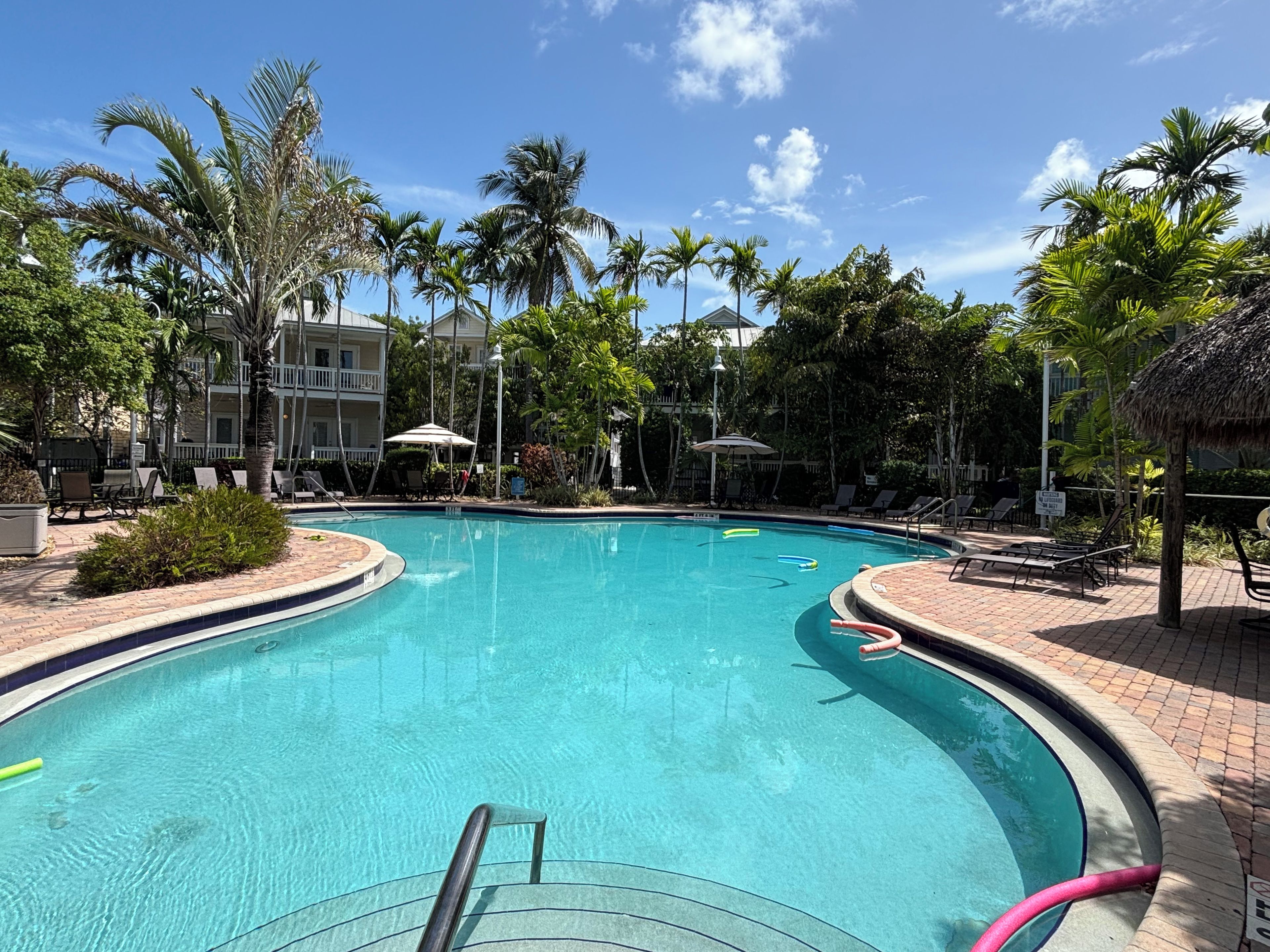 A swimming pool with a curved edge, surrounded by palm trees and lounge chairs.