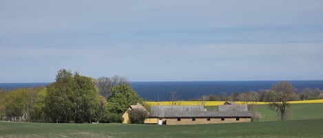 Un paysage rural avec une ferme, des champs à perte de vue et une vue lointaine sur la mer.