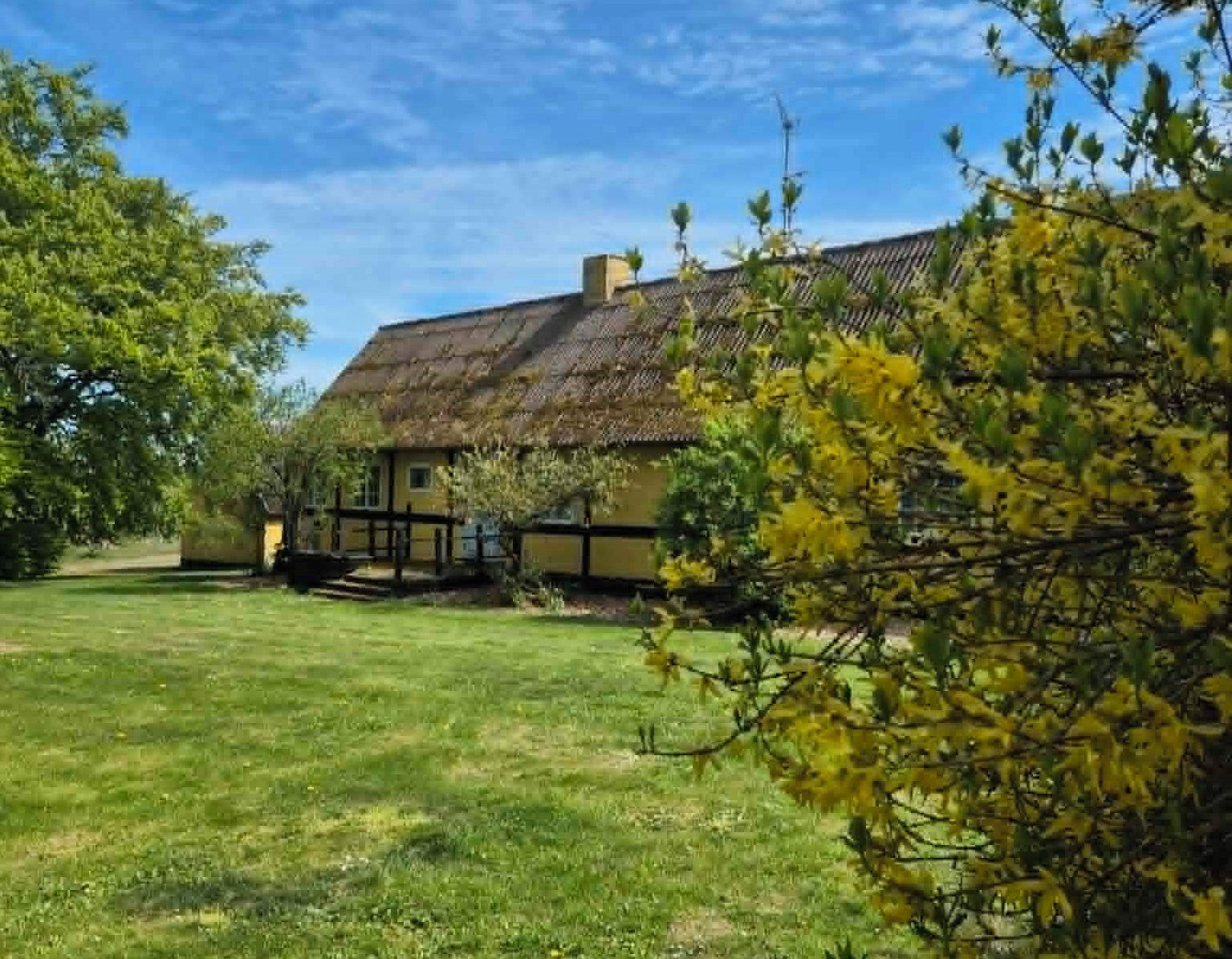 A traditional house with a thatched roof, surrounded by a well-maintained lawn and flowering trees.