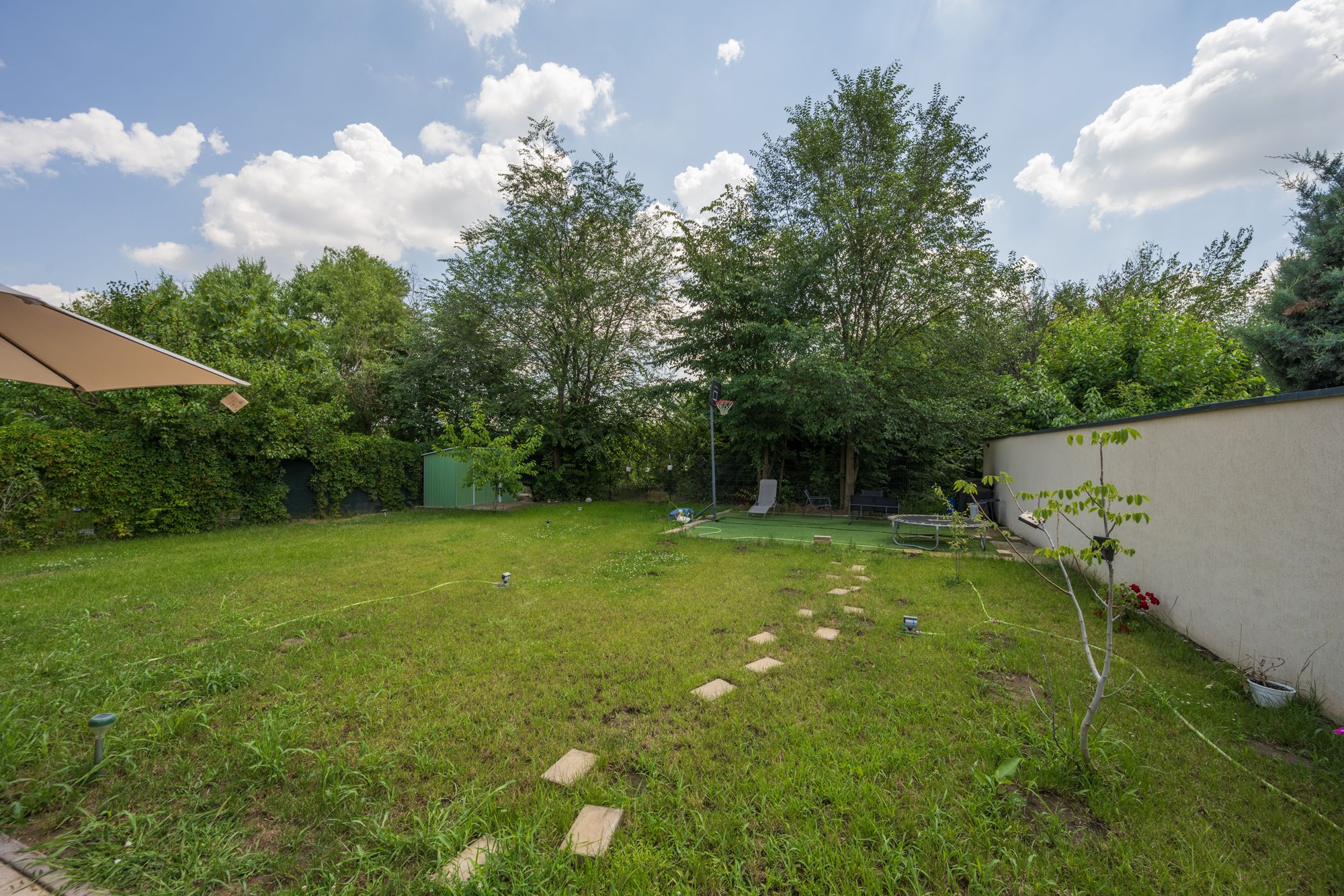 A backyard with a grassy lawn, a basketball hoop, and a shed.