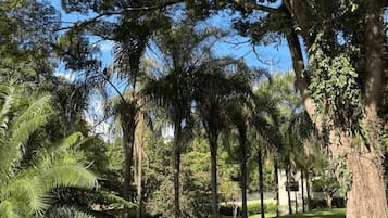 Área da propriedade