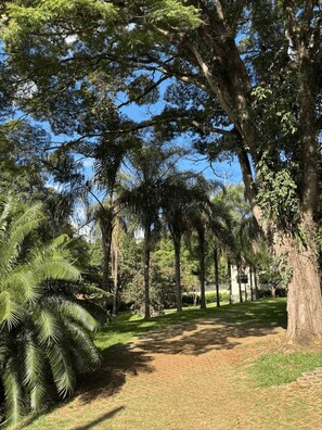 A pathway surrounded by trees and grass. - Chácara Rockie offers an experience of comfort, elegance, and exclusivity. (Itatiba)