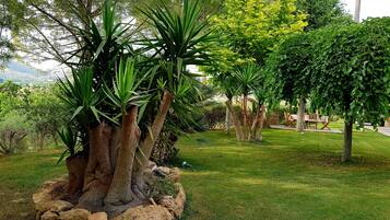 A landscaped garden with a variety of trees and shrubs, a stone wall, and a seating area with a table and chairs.