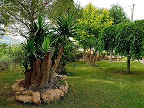 Un giardino curato con diverse piante, alberi e arbusti, un muro in pietra e un'area relax con tavolo e sedie.
