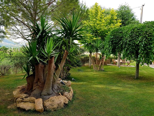 A landscaped garden with a variety of trees and shrubs, a stone wall, and a seating area with a table and chairs.