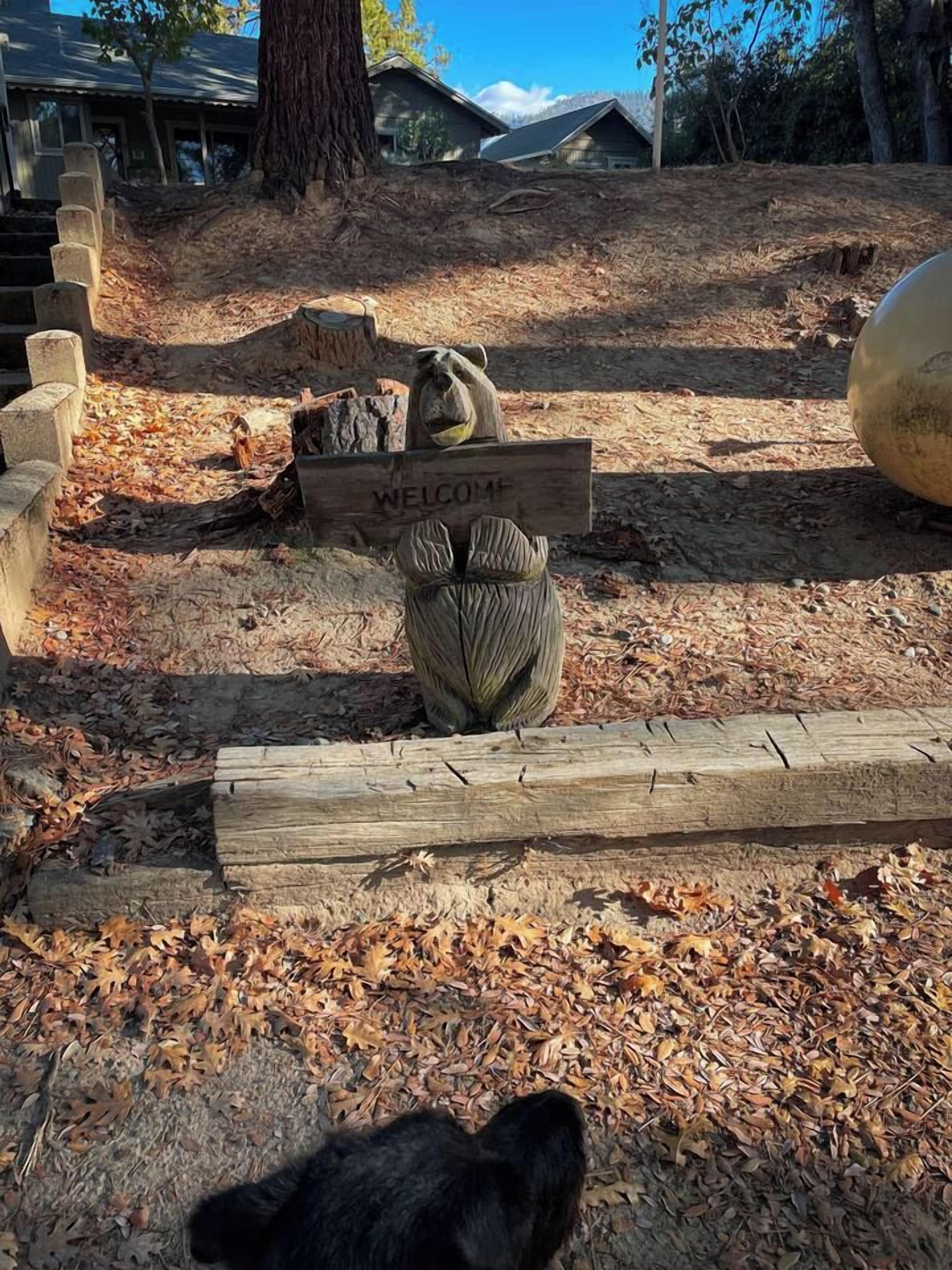 Un panneau en bois sur lequel est écrit « BIENVENUE », un banc en pierre et un grand objet sphérique, le tout dans un environnement naturel.