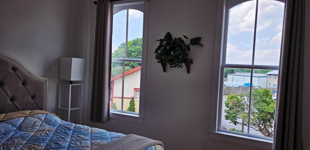 Un dormitorio con una cama, dos ventanas, una planta en la pared y una mesita de noche con una lámpara.