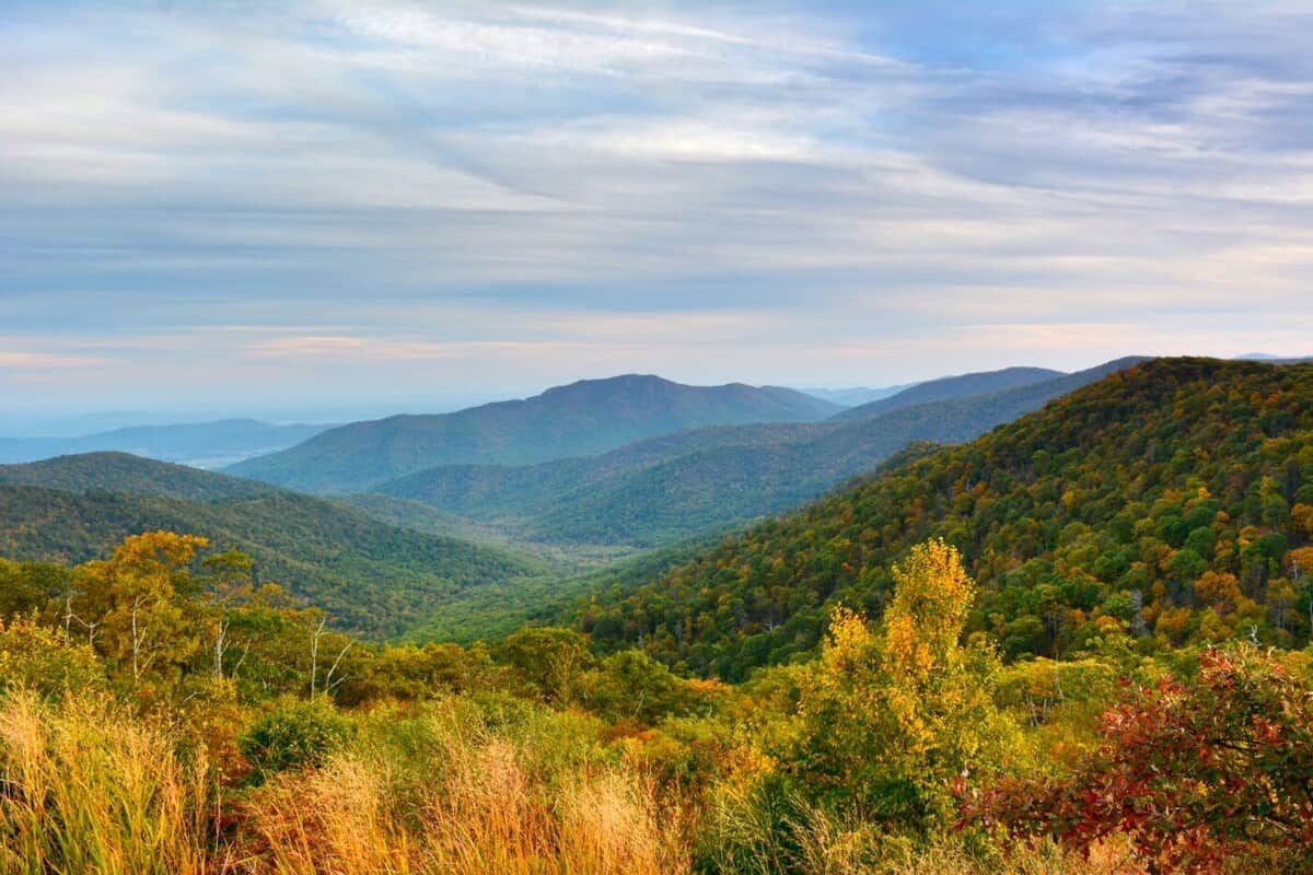 A mountainous landscape with rolling hills and dense forest.
