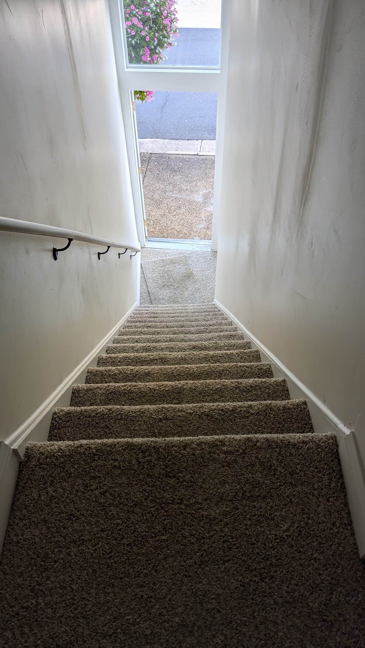 Una escalera con alfombra que da a un rellano con vistas al exterior.