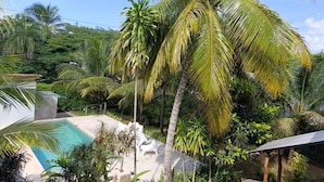 A pool surrounded by palm trees and greenery, with a clear sky above.