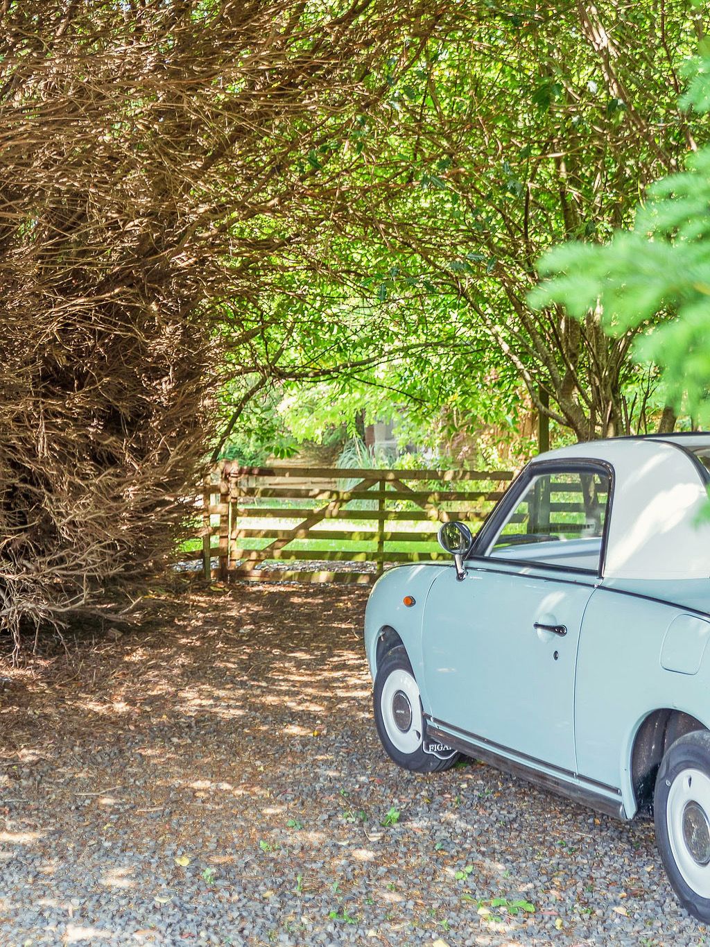 A vintage car parked on a gravel path with a wooden fence and trees in the background.