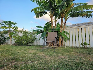 A chair in a grassy area with a white fence and banana trees in the background. - Barbados dream home - the perfect place to stay (Oistins)