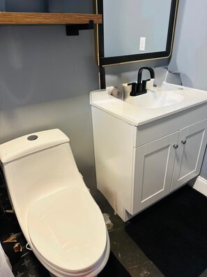A bathroom with a toilet, sink, mirror, and cabinets. - Cozy 1-bedroom studio in soothing Fredericksburg (Fredericksburg)