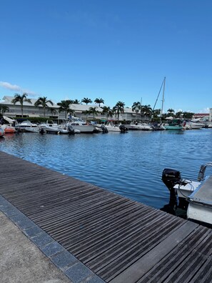 Un puerto deportivo con barcos amarrados, un muelle de madera y un edificio con palmeras al fondo.