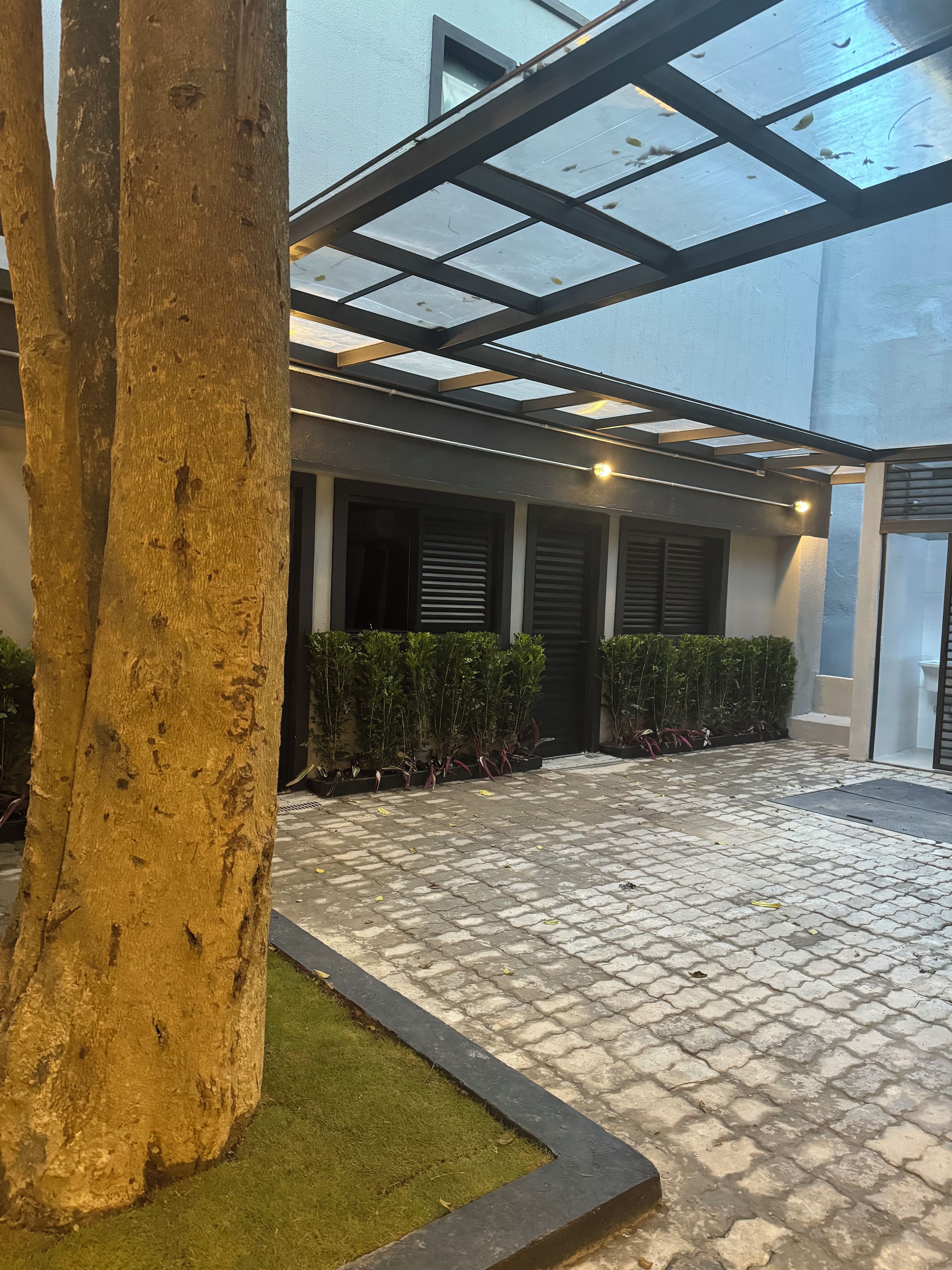 Une cour avec un arbre, un toit en verre et un chemin pavé.