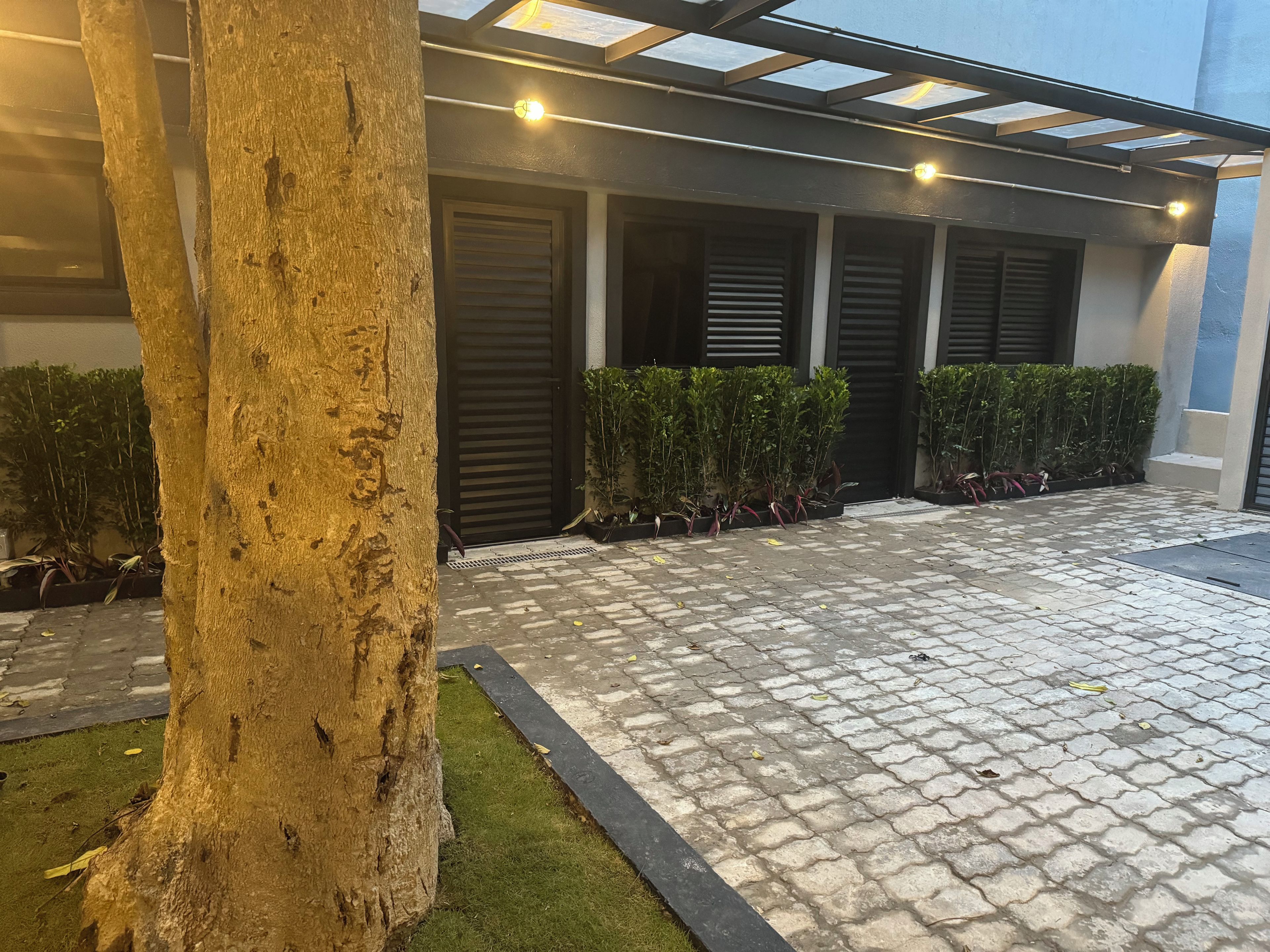 Un espacio exterior empedrado con un árbol, plantas en macetas y la entrada de un edificio con contraventanas cerradas.