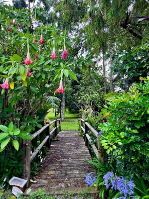 A wooden pathway leading through a lush garden with hanging pink flowers and green foliage. - Self contained room in a relaxing farm, lots of view, pet friendly (Illinbah)