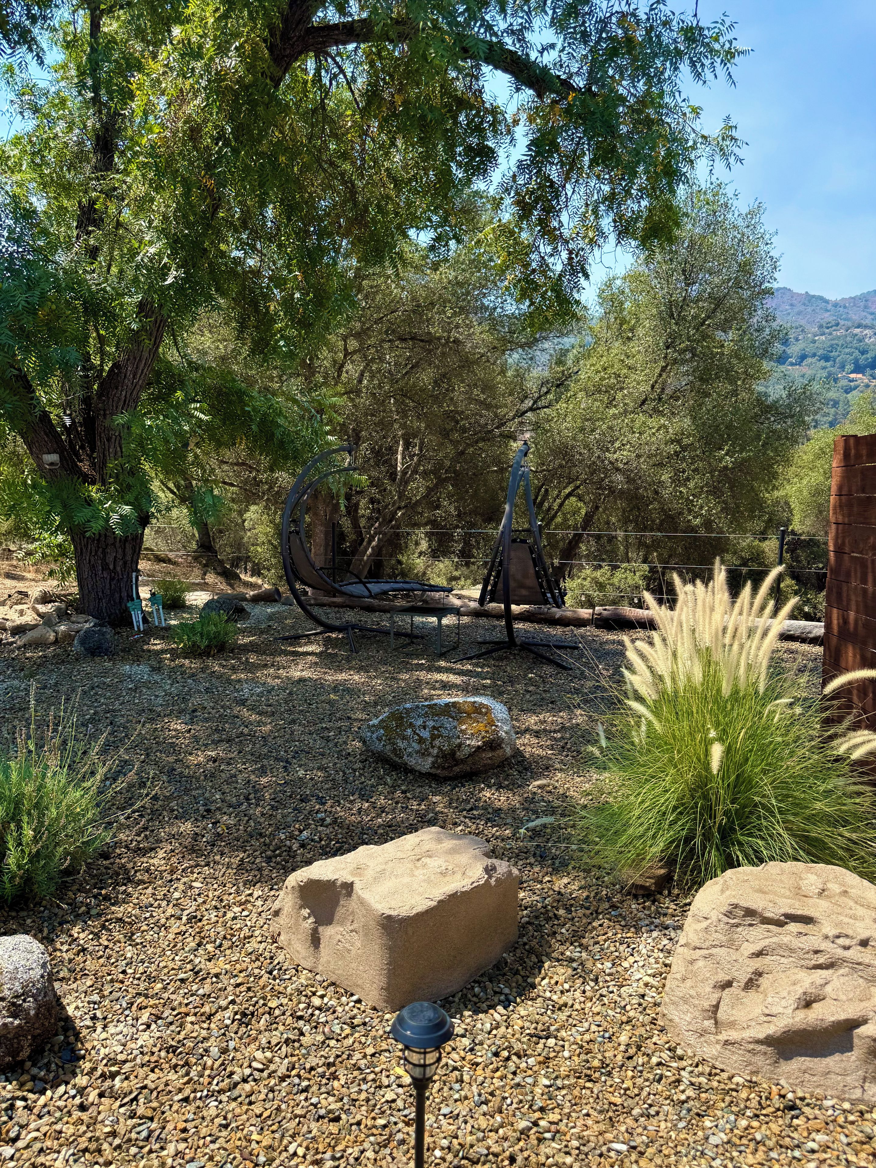 A garden with a variety of plants, a metal sculpture, and a wooden bench.