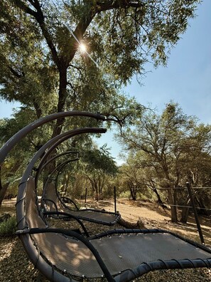 A hammock suspended between trees in a wooded area. - Luxury Camper Van Parking - 16 miles to Yosemite 5 miles to Bass Lake! #3 (Oakhurst)