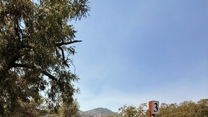 A wooden gate with a number sign, a picnic area with an umbrella, and a natural landscape with trees and hills in the background. - Luxury Camper Van Parking - 16 miles to Yosemite 5 miles to Bass Lake! #3 (Oakhurst)
