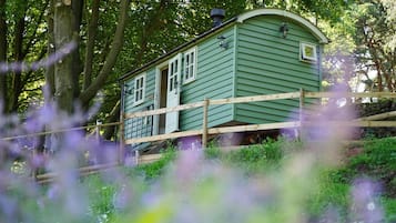 A green wooden cabin with a porch, surrounded by trees and vegetation.