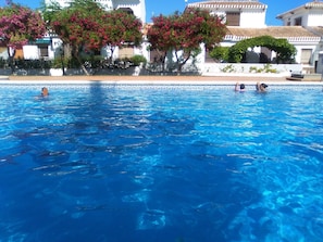 Una piscina amb aigua clara i blava, envoltada d'edificis blancs i arbres amb flors vermelles.
