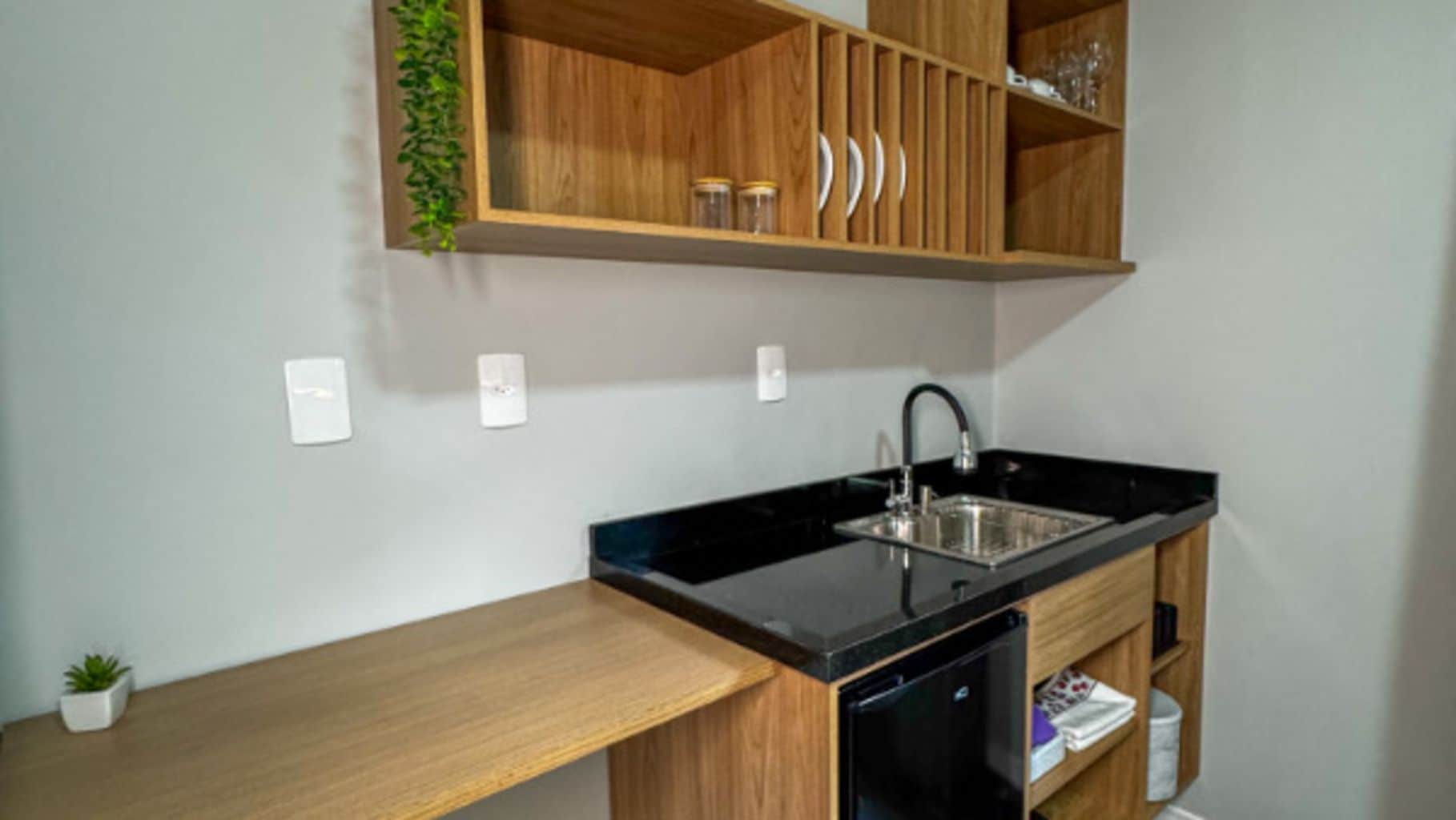 Une cuisine avec un plan de travail noir, des placards en bois, un évier en acier inoxydable et une petite plante en pot.