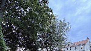 Un césped cuidado con un árbol grande y una casa de dos plantas al fondo.