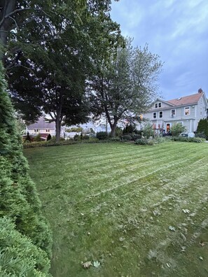A well-maintained lawn with a large tree and a two-story house in the background. - Stunning downtown Mystic 4 bedroom 2 kitchen newly renovated historic home (Mystic)