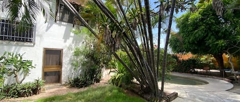 A white building with a window and a door, surrounded by lush greenery and a paved area.
