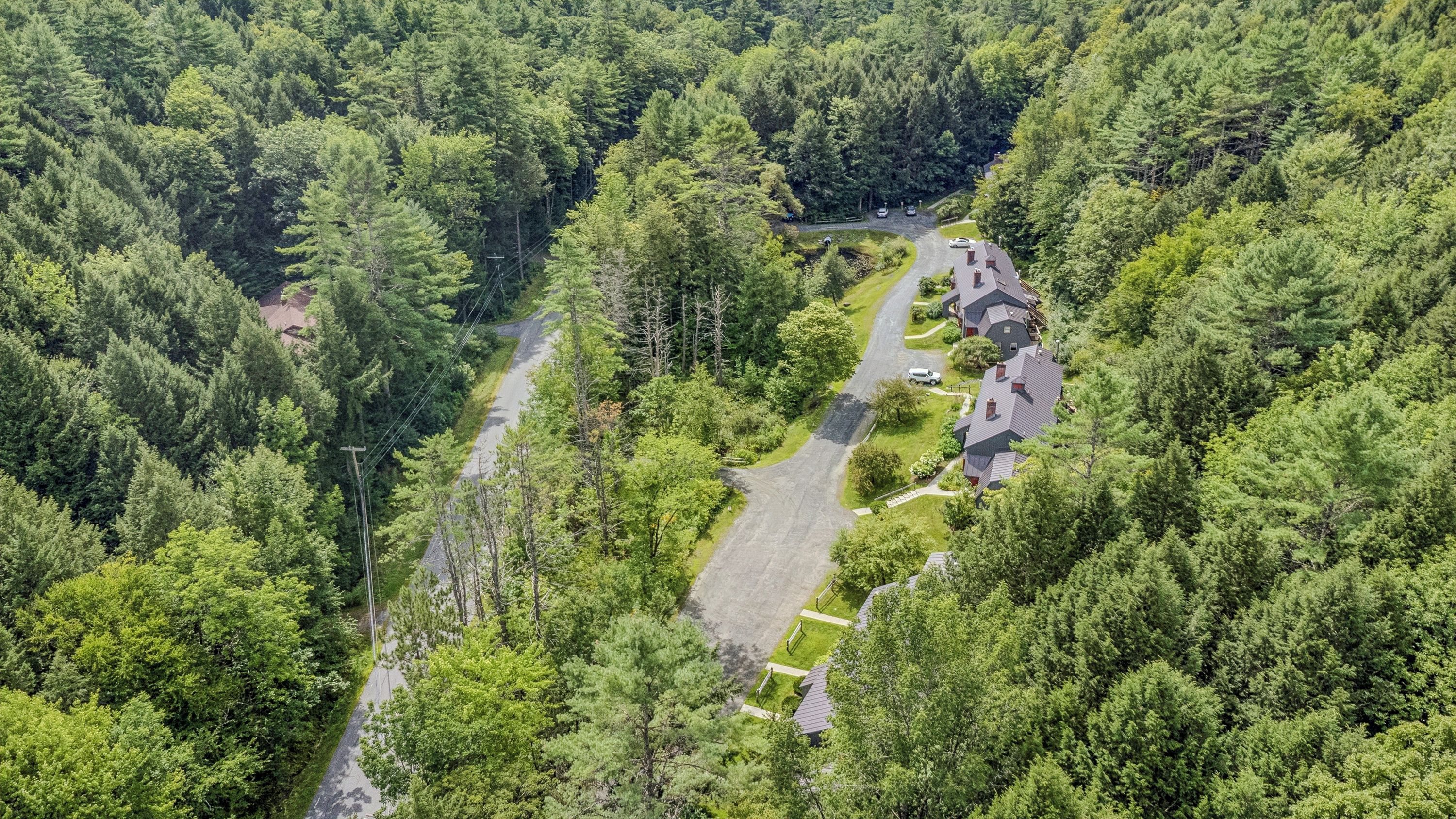 A residential area with a winding road, surrounded by dense forest, and houses with pitched roofs.