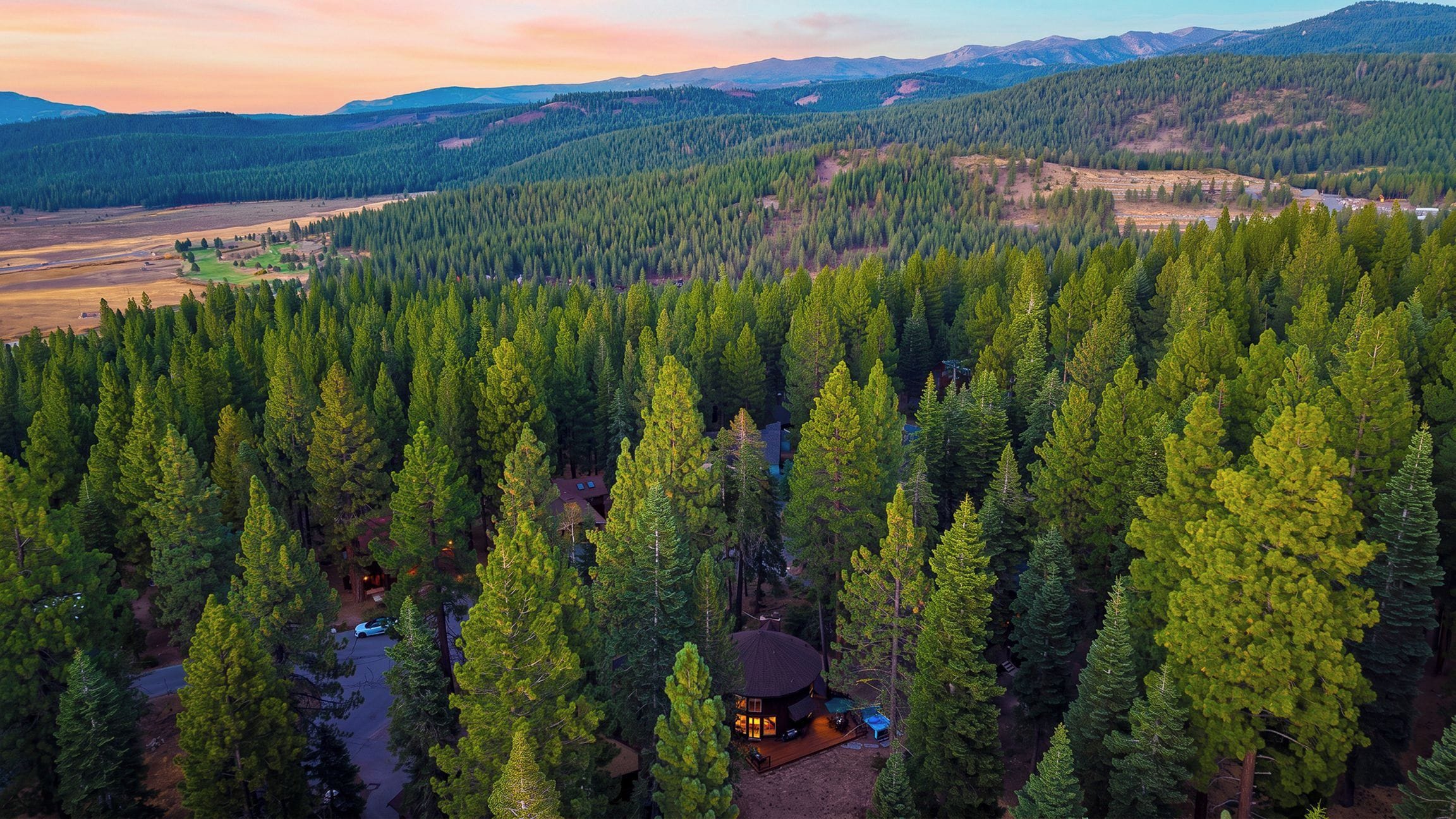 A forested area with a cabin surrounded by tall trees.