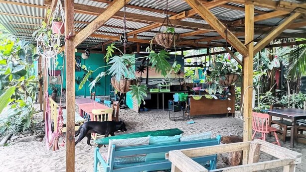Área externa coberta com móveis de madeira, plantas pendentes e piso de areia.