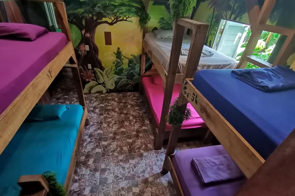 Shared Dormitory, Mixed Dorm | Wi-fi percuma 
