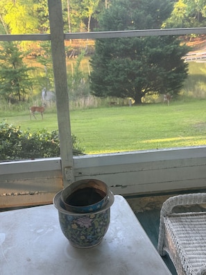 A view through a window with a table holding a decorative bowl, a wicker chair, and a grassy outdoor area with trees and a deer. - Our Lake Wylie, SC 4BR/2BA waterfront House, sleeps 6 max., pier & dock. (Clover)