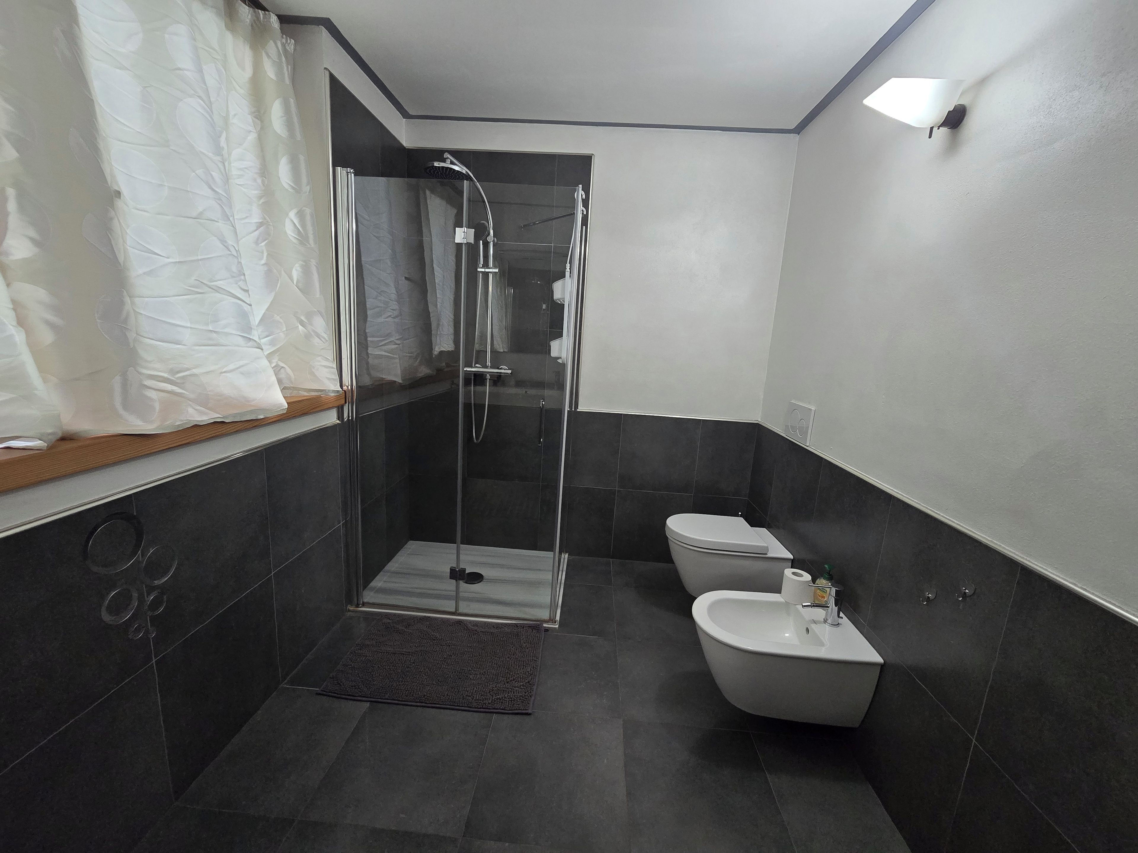 A modern bathroom with a glass-enclosed shower, a toilet, and a bidet.