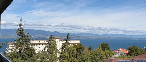 A view of a coastal city with buildings, trees, and a clear sky.