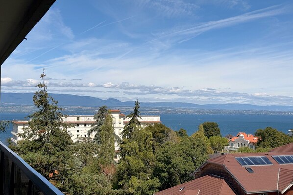 A view of a coastal city with buildings, trees, and a clear sky.
