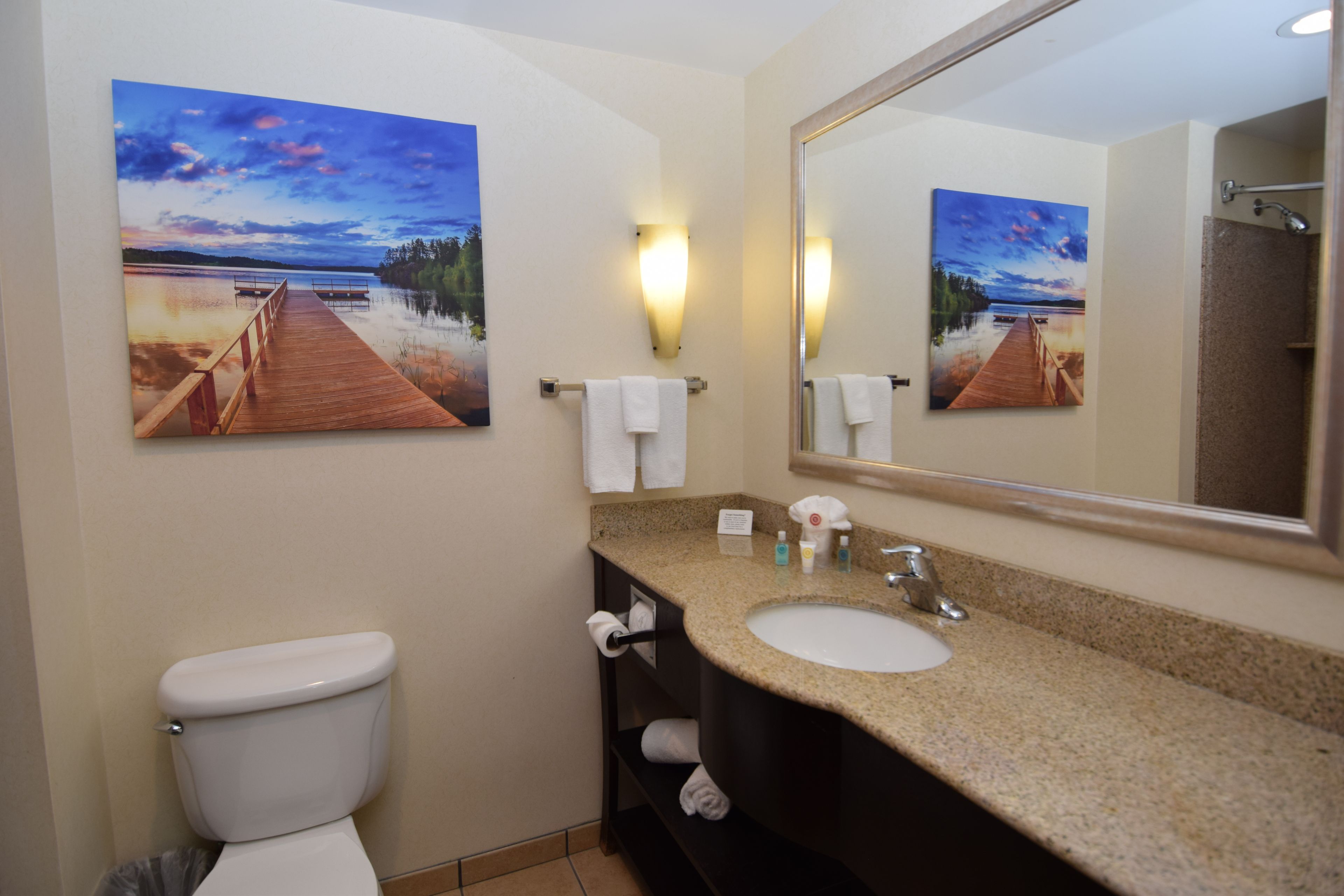 Shower, hair dryer, bidet