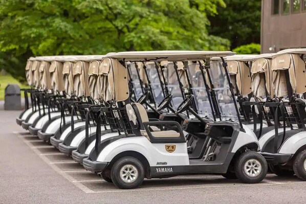 Una fila de carritos de golf estacionados en un estacionamiento con árboles al fondo.
