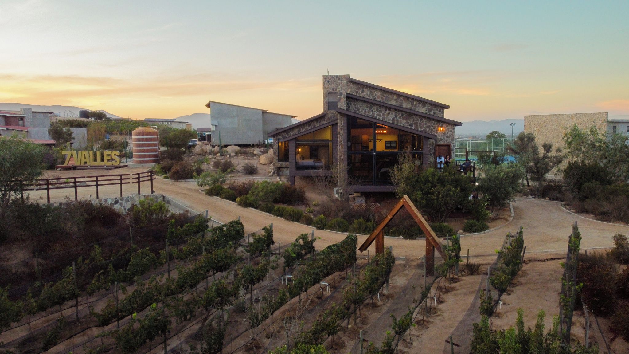 A modern building with a stone facade, surrounded by a vineyard.