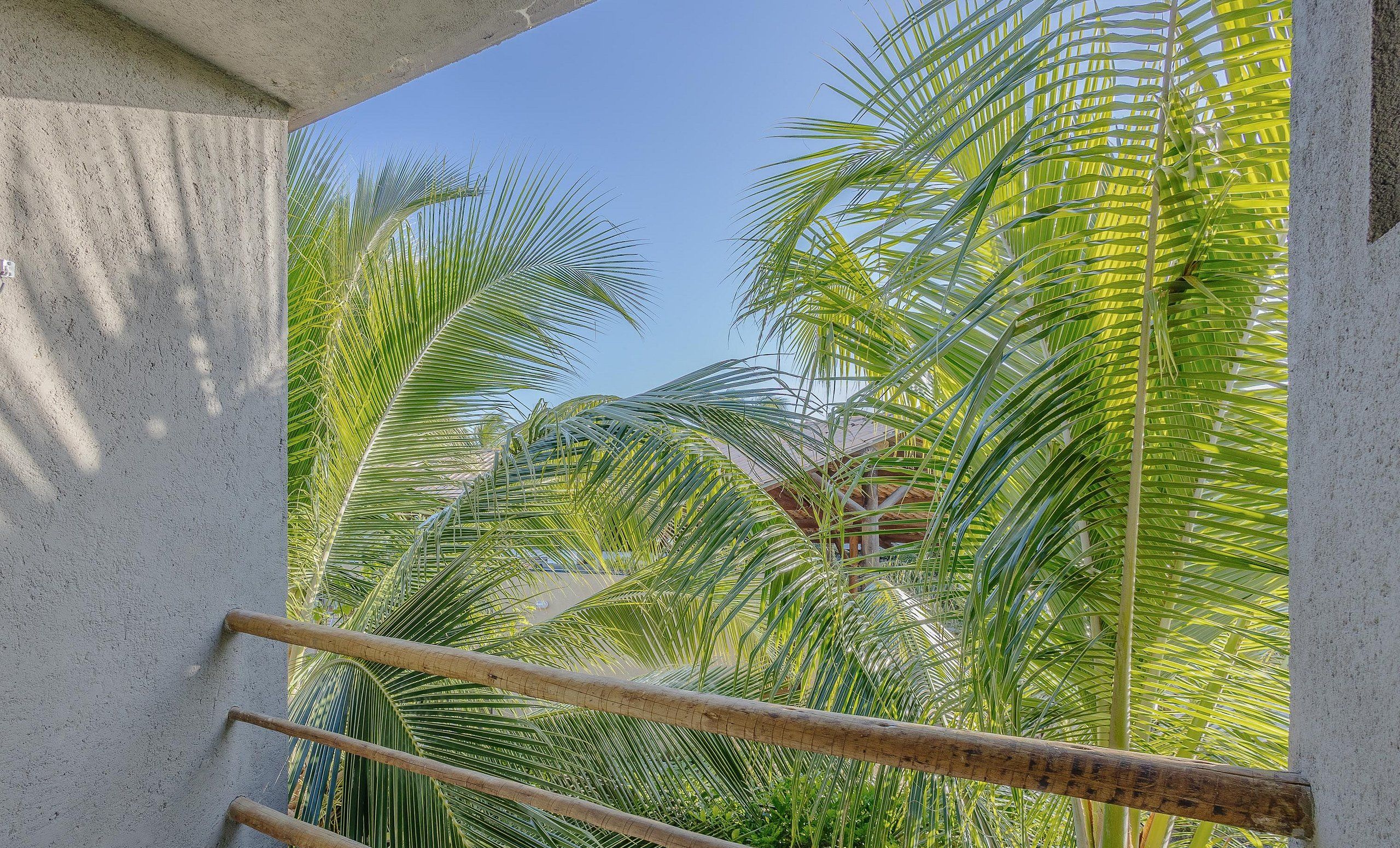 Basic Villa | Property grounds