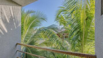 Basic Villa | Property grounds